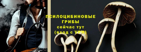хмурый Нея