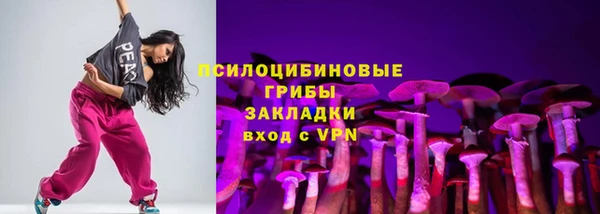 хмурый Нея