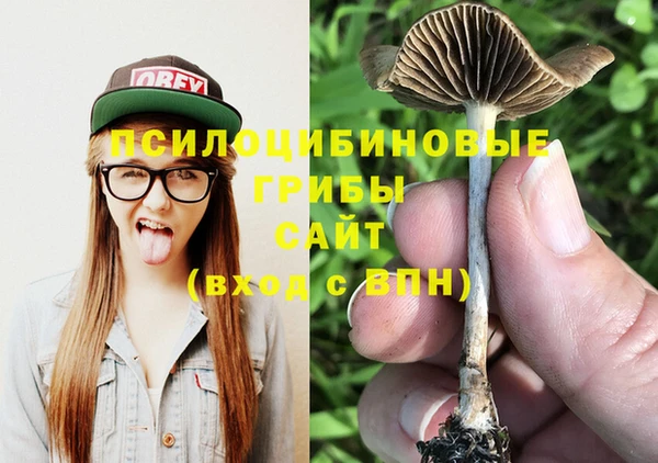 хмурый Нея