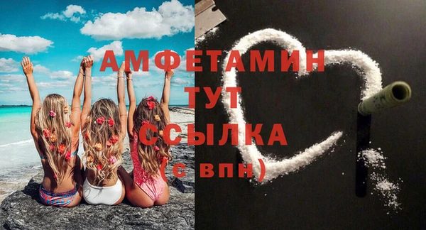 стаф Вязьма