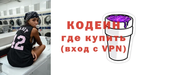 хмурый Нея
