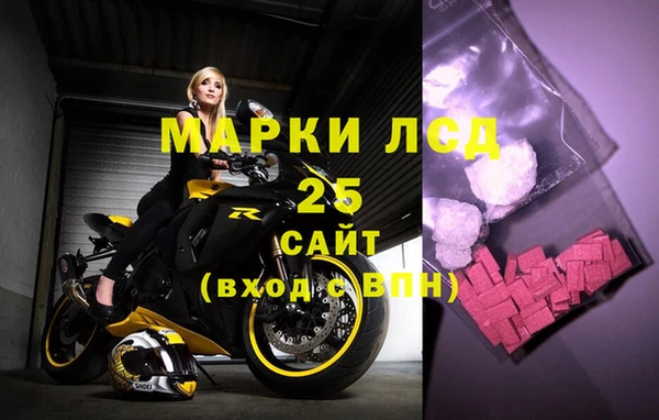 хмурый Нея