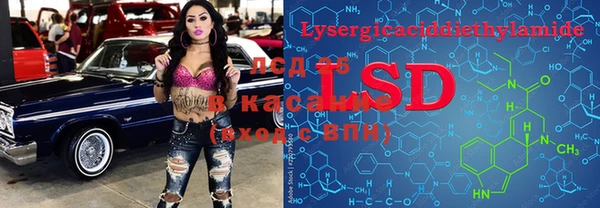 ГАЛЛЮЦИНОГЕННЫЕ ГРИБЫ Надым