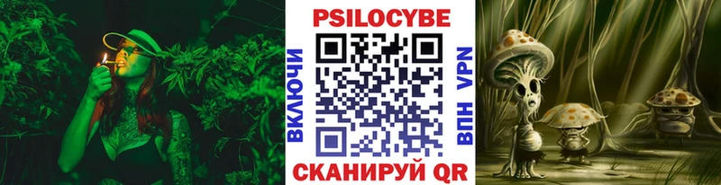Псилоцибиновые грибы мухоморы  закладка  Новоульяновск 